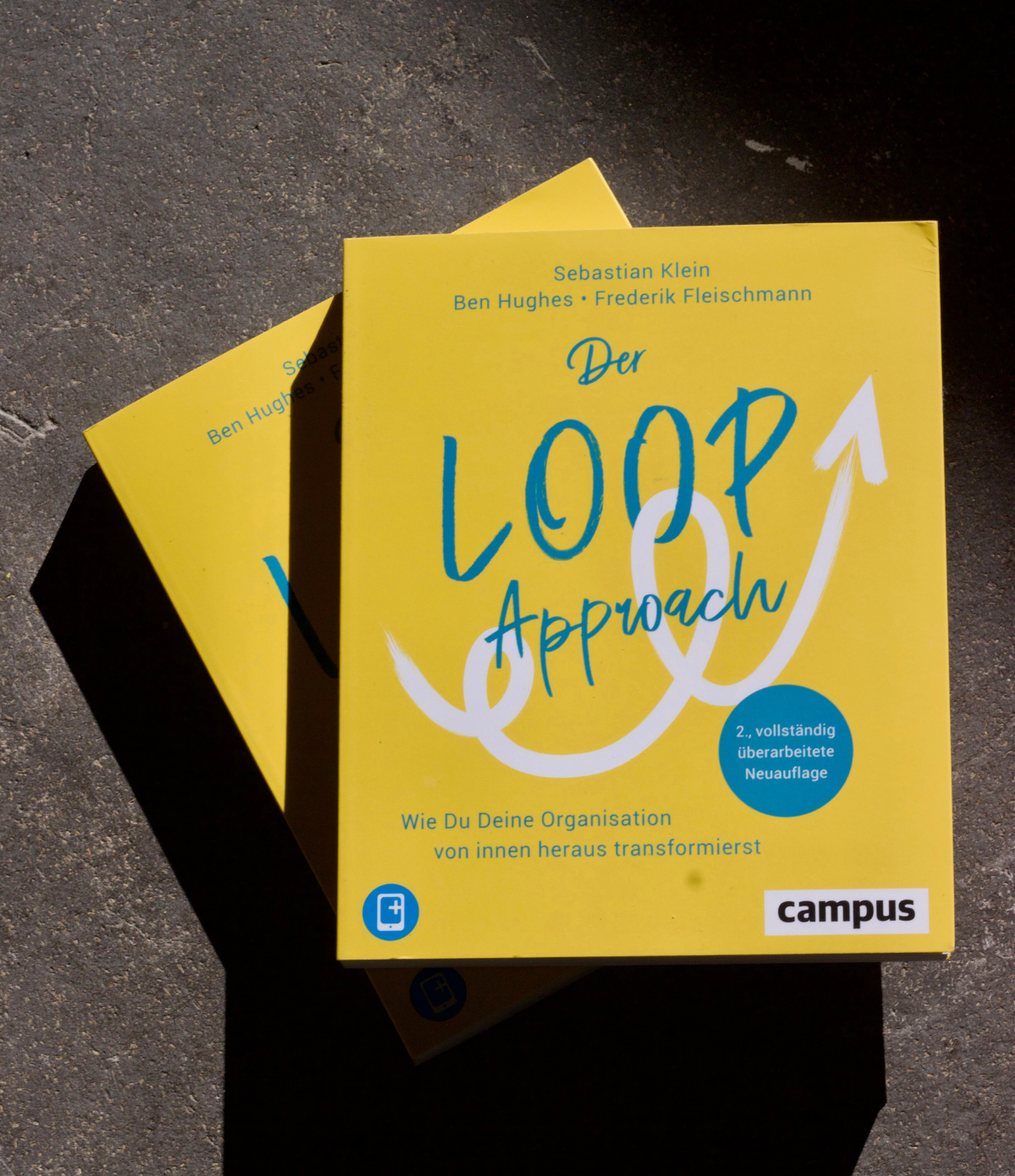 Loop Buch - DE