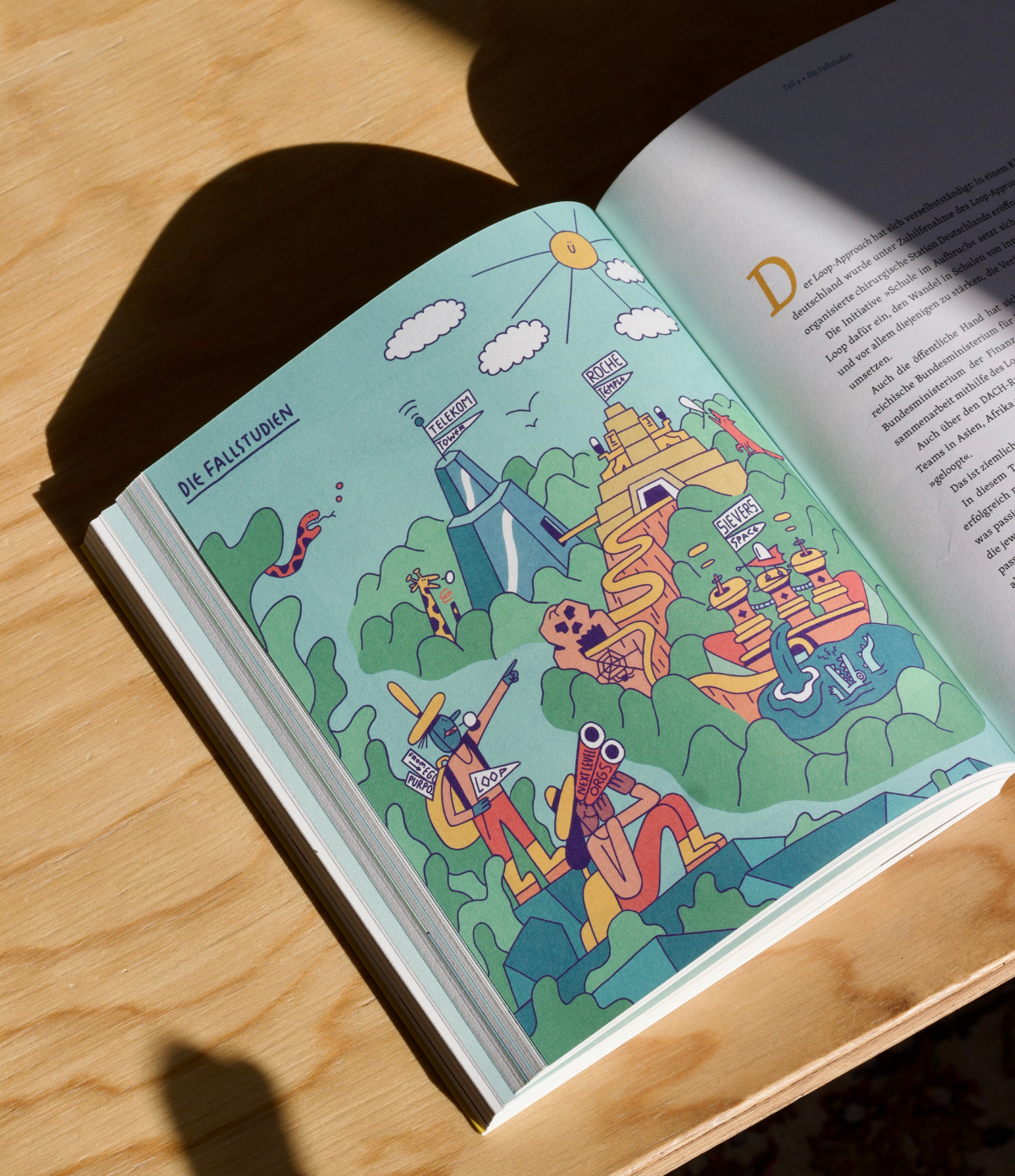 Loop Buch - DE