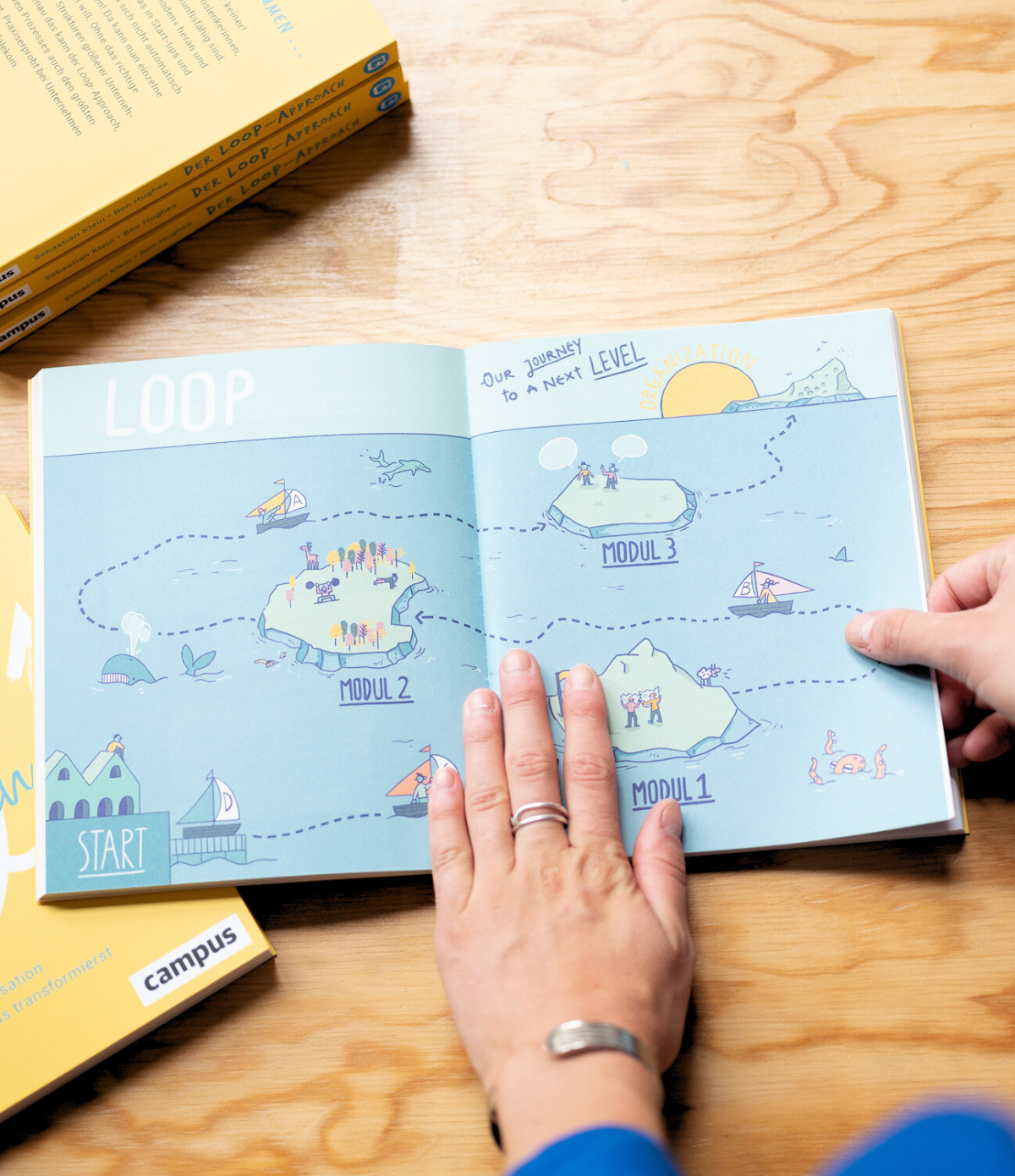 Loop Buch - DE