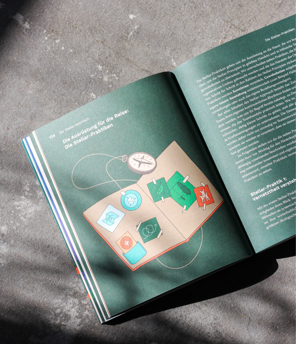 Stellar Buch - DE